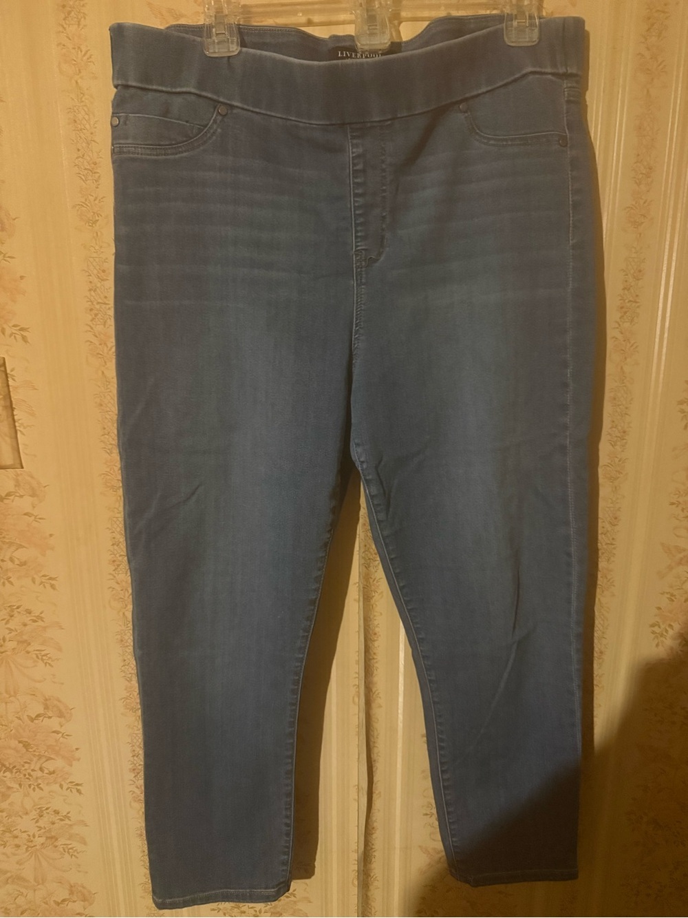 Liverpool Blue Pull-On Jeggings